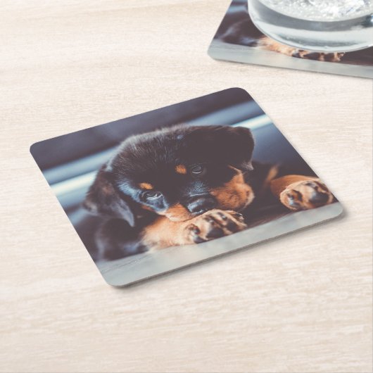 Schattige rottweiler Puppy Dog Resting Kartonnen Onderzetters (Schuin)