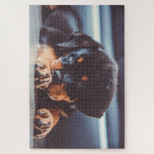 Schattige rottweiler Puppy Dog Resting Legpuzzel