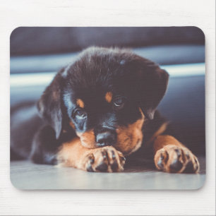 Schattige rottweiler Puppy Dog Resting Muismat