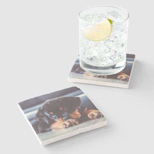 Schattige rottweiler Puppy Dog Resting Stenen Onderzetter (Zijkant)