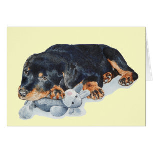 schattige rottweiler puppy dog snuffelend teddy bl