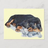 schattige rottweiler puppy dog snuffelend teddybee