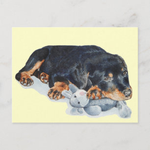 schattige rottweiler puppy dog snuffelend teddybee briefkaart