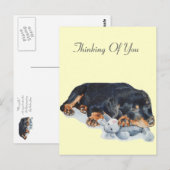 schattige rottweiler puppy dog snuffelend teddybee briefkaart (Voorkant / Achterkant)