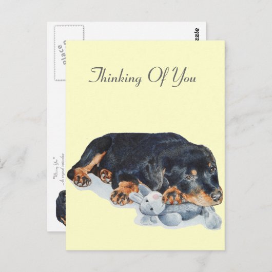 schattige rottweiler puppy dog snuffelend teddybee briefkaart (Voorkant / Achterkant)