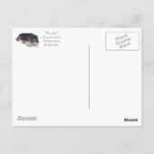 schattige rottweiler puppy dog snuffelend teddybee briefkaart (Achterkant)