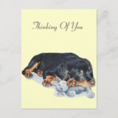 schattige rottweiler puppy dog snuffelend teddybee briefkaart (Voorkant)