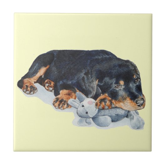 schattige rottweiler puppy dog snuffelend teddybee tegeltje (Voorkant)
