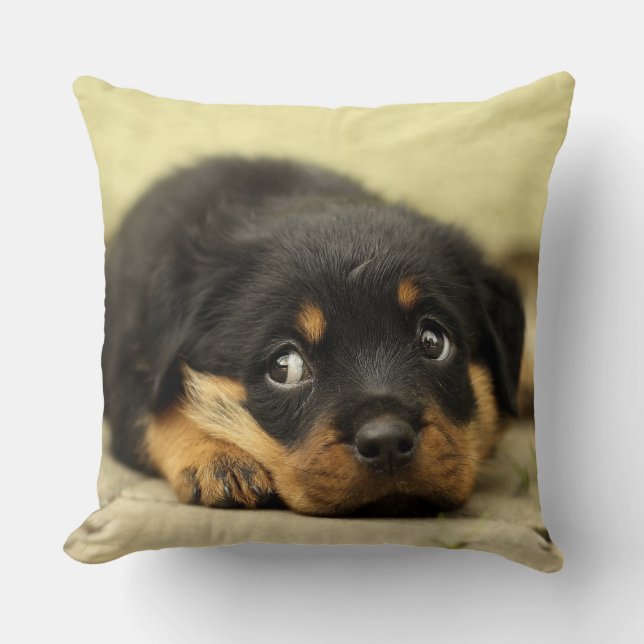 Schattige Rottweiler Puppy Kussen (Voorkant)