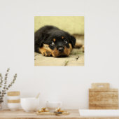 Schattige Rottweiler Puppy Poster (Keuken)