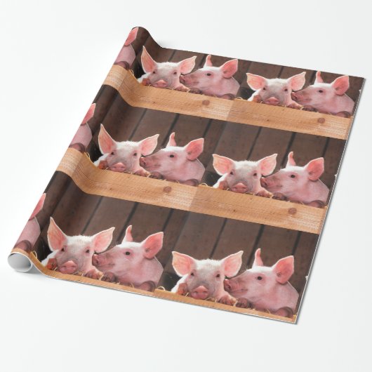 Schattige Roze Biggen Dierenfotopatroon Cadeaupapier (Uitgerold)
