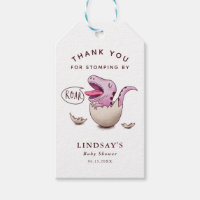 Schattige roze dinosaurus meisje Baby shower