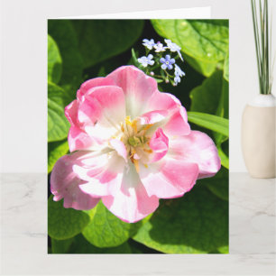 Schattige roze tulp kaart