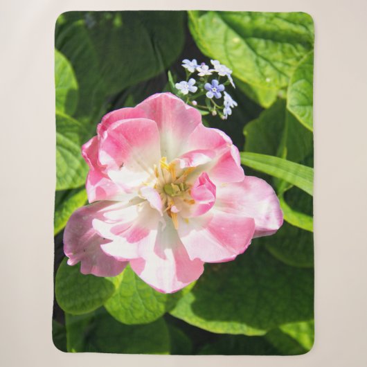 Schattige roze tulp sherpa deken (Voorkant)