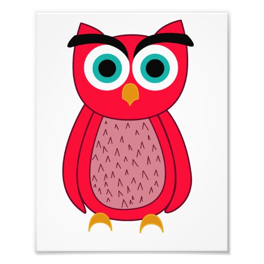 Schattige Roze Uil Foto Afdruk (Voorkant)