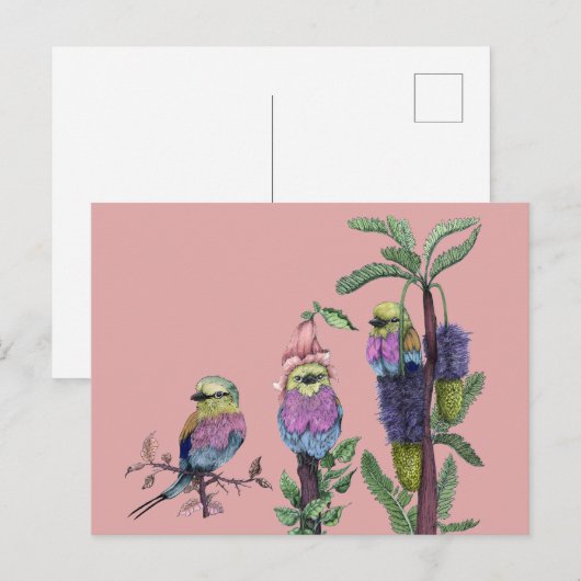 Schattige Roze Waterverf African Bird Illustratie Briefkaart (Voorkant / Achterkant)
