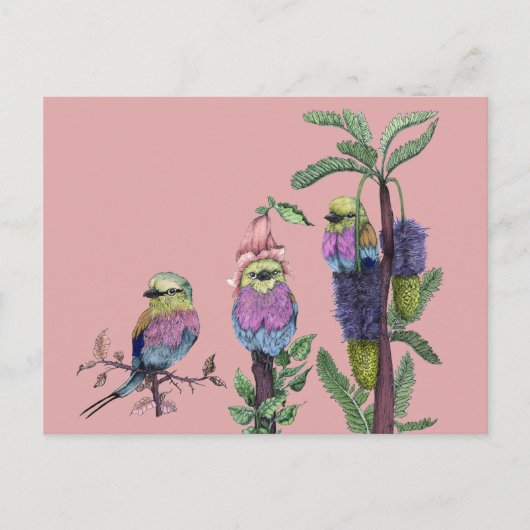Schattige Roze Waterverf African Bird Illustratie Briefkaart (Voorkant)