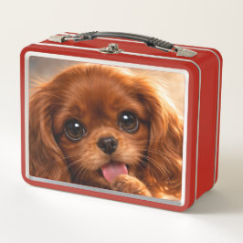 Schattige Ruby Cavalier Spaniel