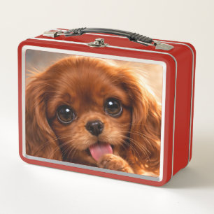 Schattige Ruby Cavalier Spaniel