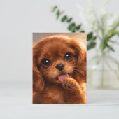 Schattige Ruby Cavalier Spaniel Briefkaart (Staand voorkant)