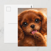 Schattige Ruby Cavalier Spaniel Briefkaart (Voorkant / Achterkant)