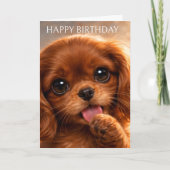 Schattige Ruby Cavalier Spaniel Kaart (Voorkant)