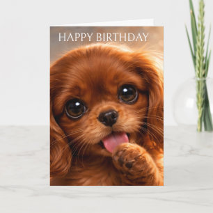 Schattige Ruby Cavalier Spaniel Kaart