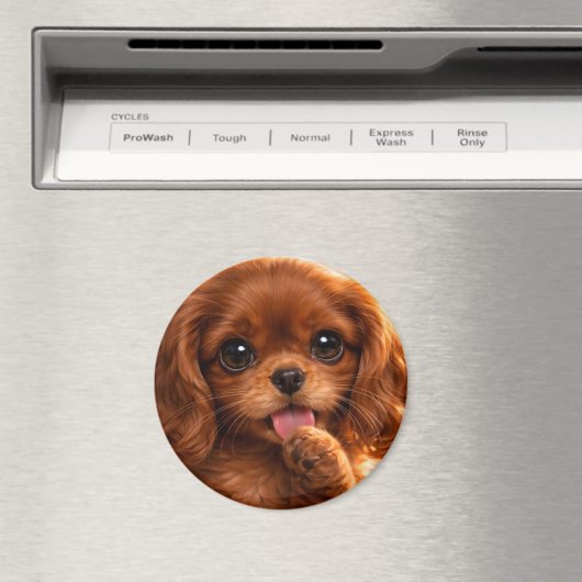 Schattige Ruby Cavalier Spaniel Magneet (Insitu (Vaatwasser))