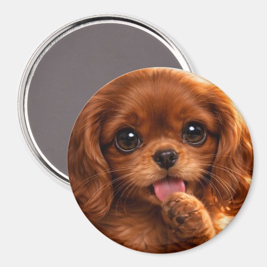 Schattige Ruby Cavalier Spaniel Magneet (Voorkant / Achterkant)