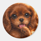 Schattige Ruby Cavalier Spaniel Magneet (Voorkant)