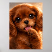 Schattige Ruby Cavalier Spaniel Poster (Voorkant)