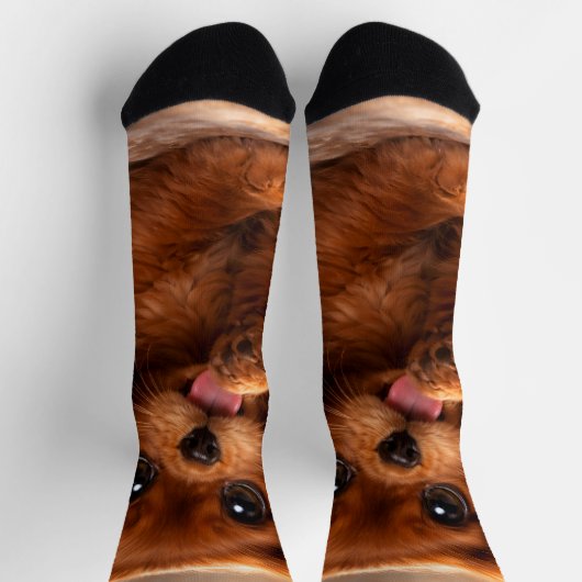Schattige Ruby Cavalier Spaniel Sokken (Top)