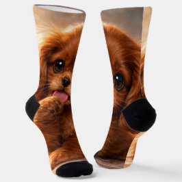 Schattige Ruby Cavalier Spaniel Sokken