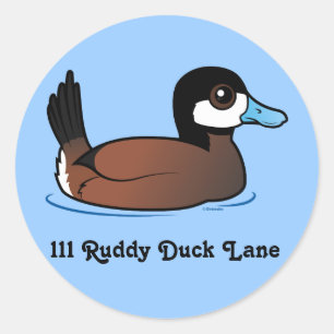 Schattige Ruddy Duck  adreslabel Ronde Sticker