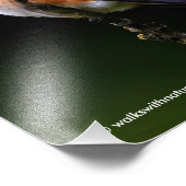 Schattige Rufous Hummingbird op Branch Foto Afdruk (Hoek)