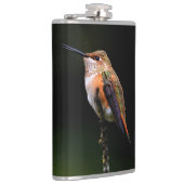 Schattige Rufous Hummingbird op Branch Heupfles (Rechts)