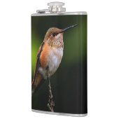 Schattige Rufous Hummingbird op Branch Heupfles (Links)