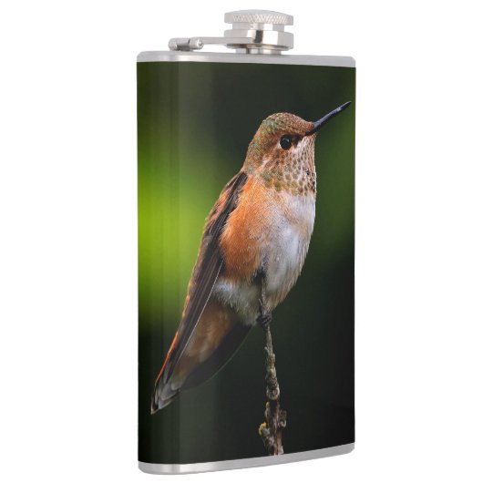 Schattige Rufous Hummingbird op Branch Heupfles (Rechts)