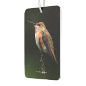 Schattige Rufous Hummingbird op Branch Luchtverfrisser (Links)