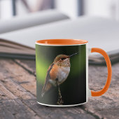 Schattige Rufous Hummingbird op Branch Mok