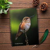 Schattige Rufous Hummingbird op Branch Notitieboek