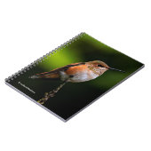 Schattige Rufous Hummingbird op Branch Notitieboek (Linkerzijde)