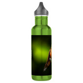 Schattige Rufous Hummingbird op Branch Waterfles (Links)