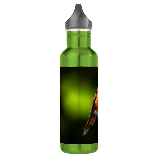 Schattige Rufous Hummingbird op Branch Waterfles (Links)