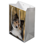 Schattige Sable Sheltie, Shetland Sheepdog Medium Cadeauzakje (Achterkant Gekanteld)