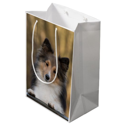 Schattige Sable Sheltie, Shetland Sheepdog Medium Cadeauzakje (Achterkant Gekanteld)