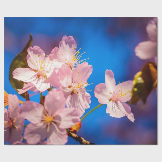 Schattige Sakura Blossom Cadeaupapier (Vlak)