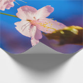 Schattige Sakura Blossom Cadeaupapier (Hoek)