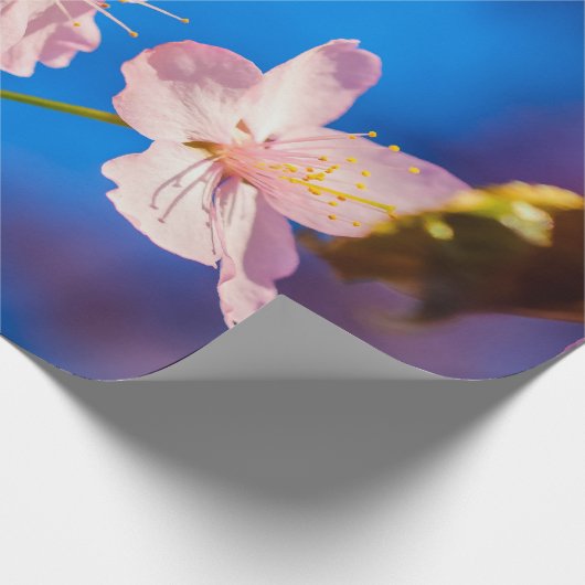 Schattige Sakura Blossom Cadeaupapier (Hoek)