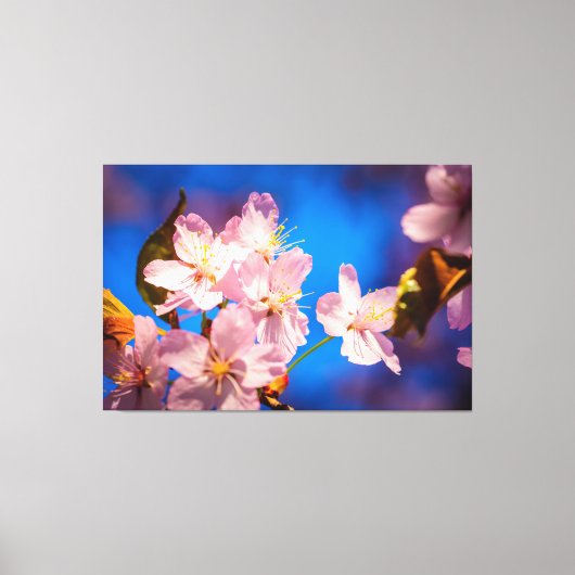 Schattige Sakura Blossom Canvas Afdruk (Voorkant)